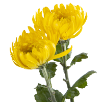 民间祭祀先人日期大全